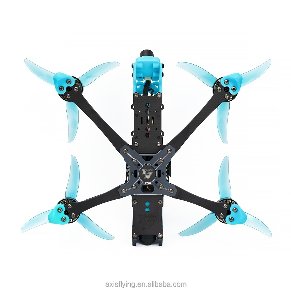 2025 액시스플라잉 만타 5 DC(데드캣) 5인치 프 - Walksnail Avatar Hd Pro Kit 리뷰 및 가격